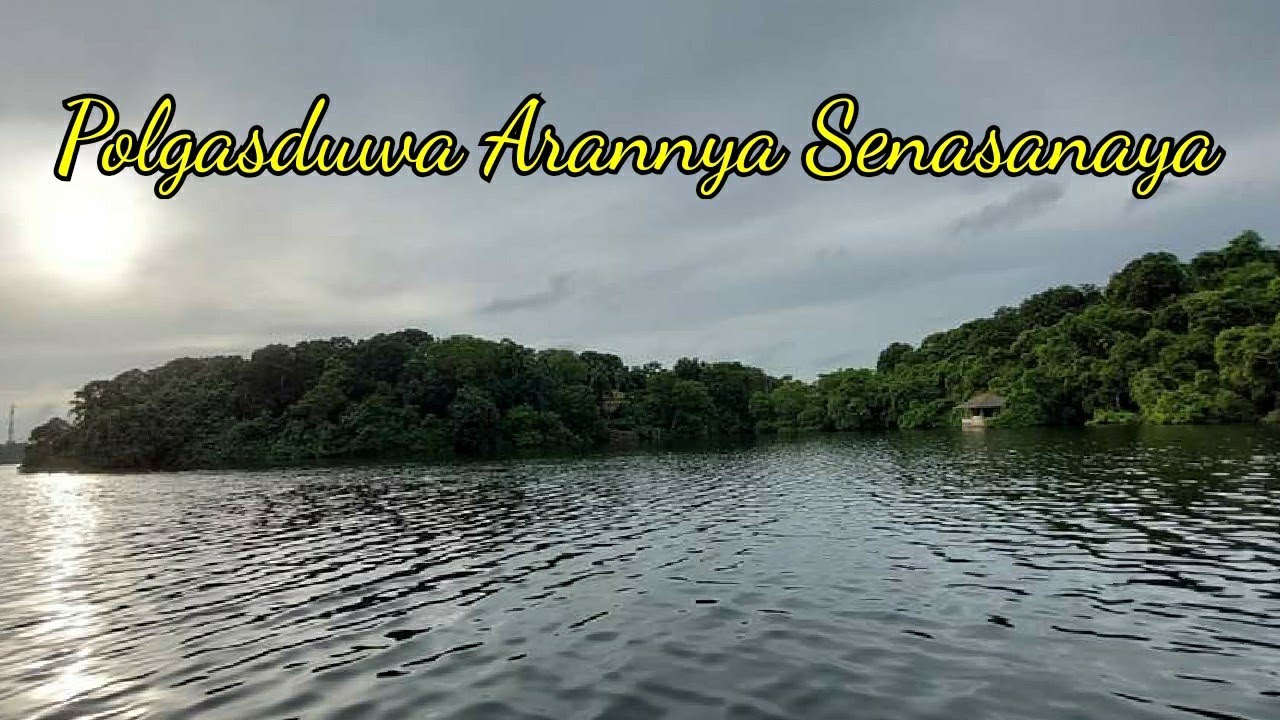 Polgasduwa Arannya Senasanaya