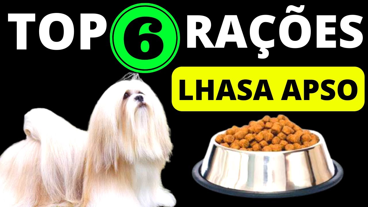 TOP 6 melhores RAÇÕES PARA LHASA APSO! Só as melhores rações!