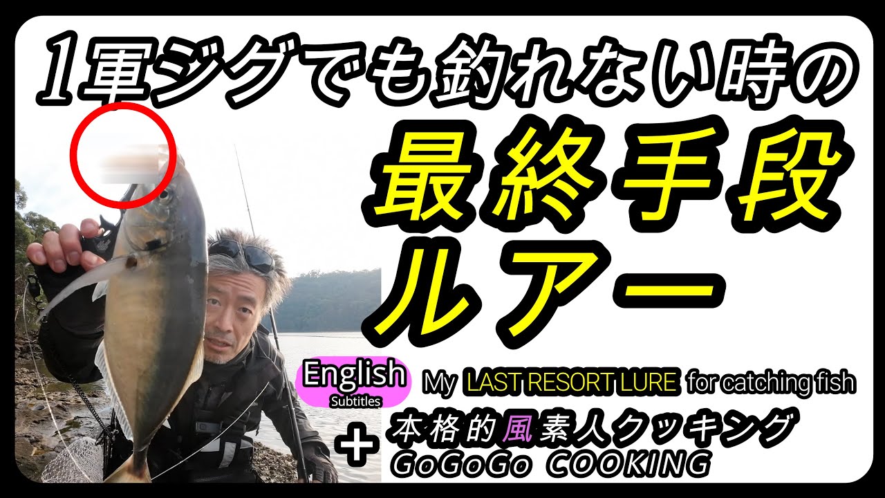 釣れない時の最終手段ルアー【ショアジギング】Last resort lure& 釣った魚料理　GoGoGo Cooking