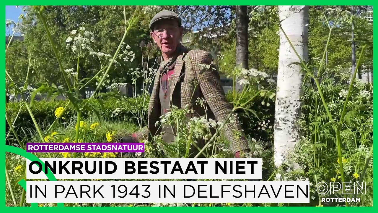 Park 1943 tijdens Parkenmaand: &lsquo;Onkruid bestaat hier niet&rsquo; | Rotterdamse Stadsnatuur