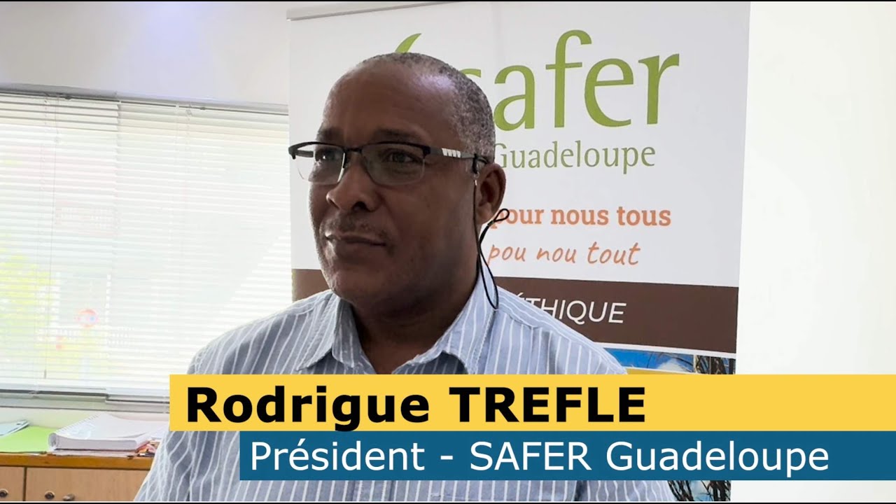 Soutenir l'Agriculture en Guadeloupe : L'engagement de la Safer Guadeloupe