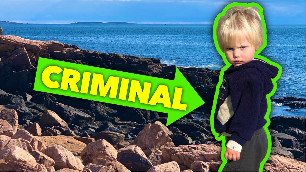 DON'T DO THIS, IT'S ILLEGAL!!! Hiking the Ship Harbor Trail, Acadia National Park