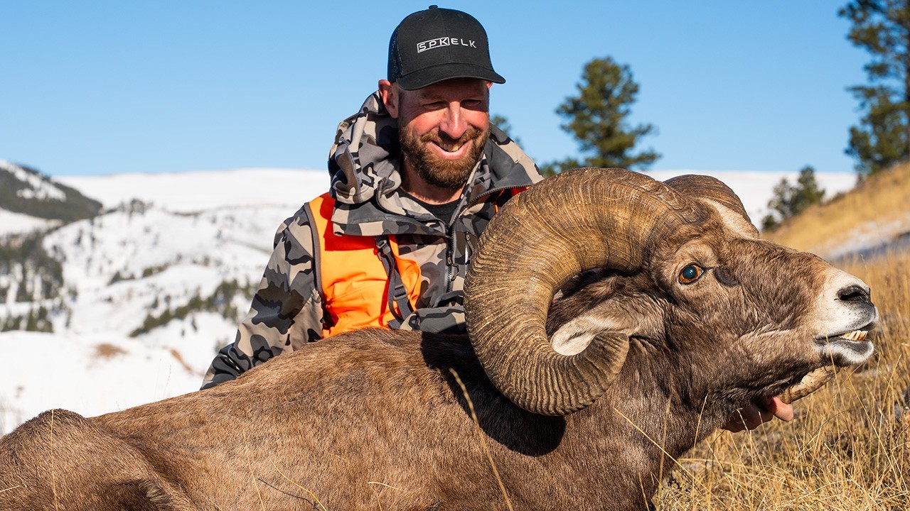 Bighorn Sheep Hunting | Searching for the ONE