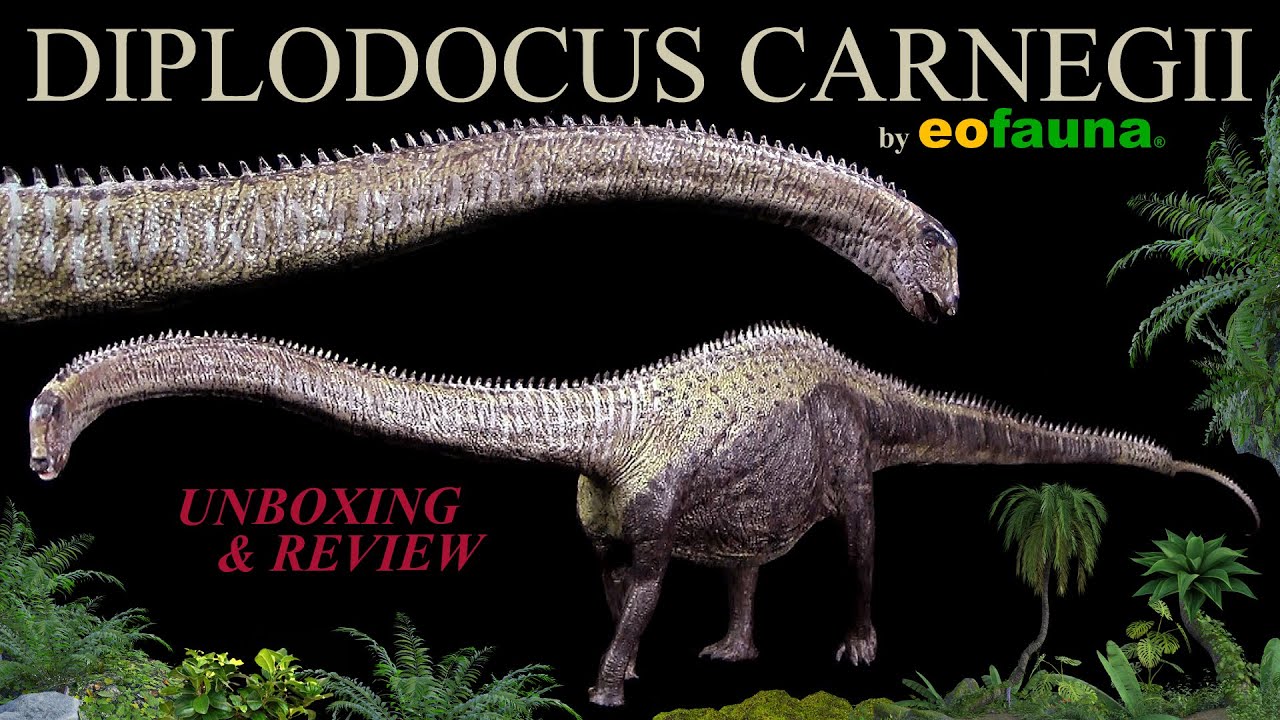 Eofauna ® Diplodocus carnegii * Neuheit 2022 New * Review (Deutsch / German)