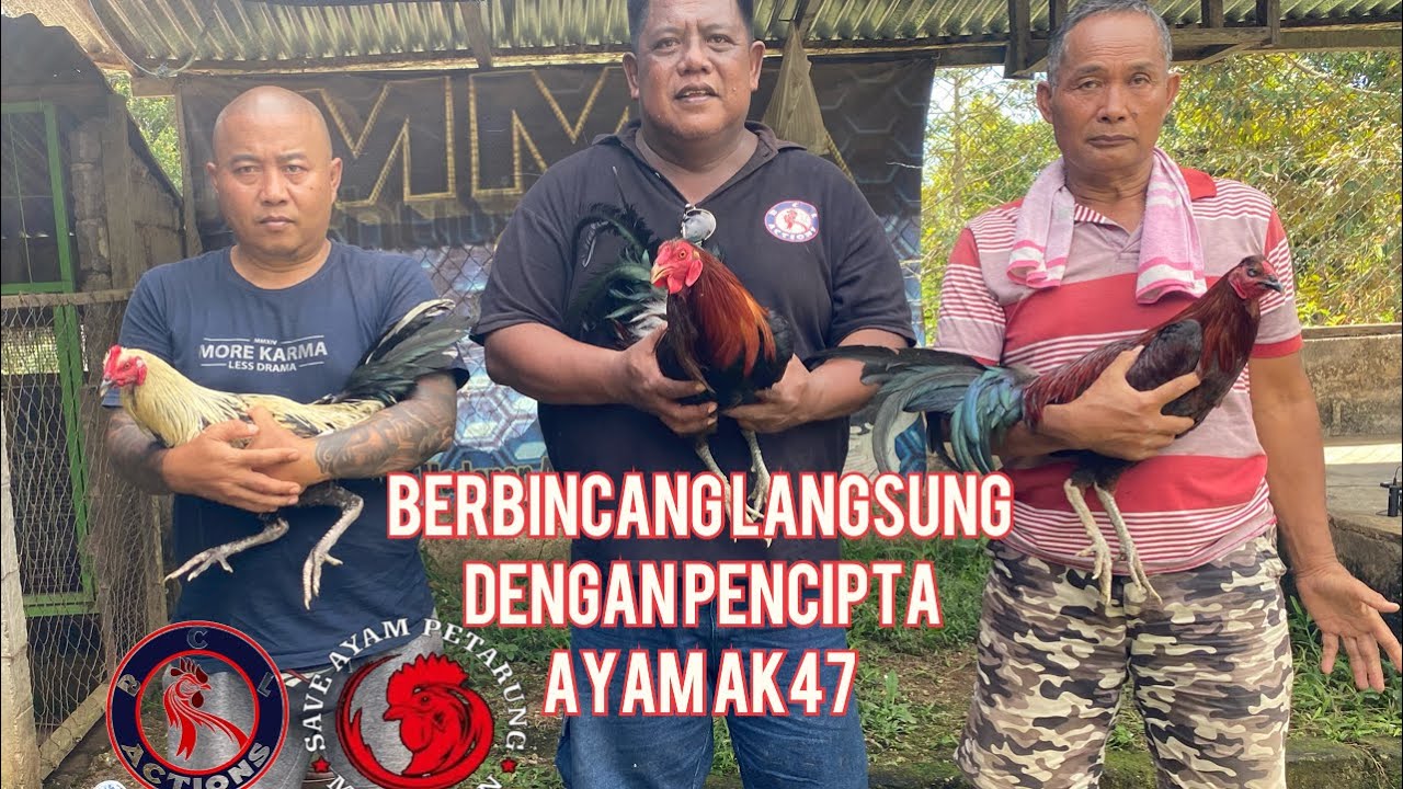berbincang langsung bersama pencipta ayam AK47 di MMA GAME FARM