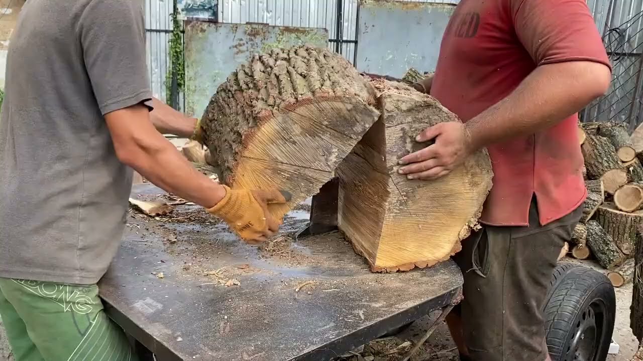 CRUSHING Pressure vs Giant Oak