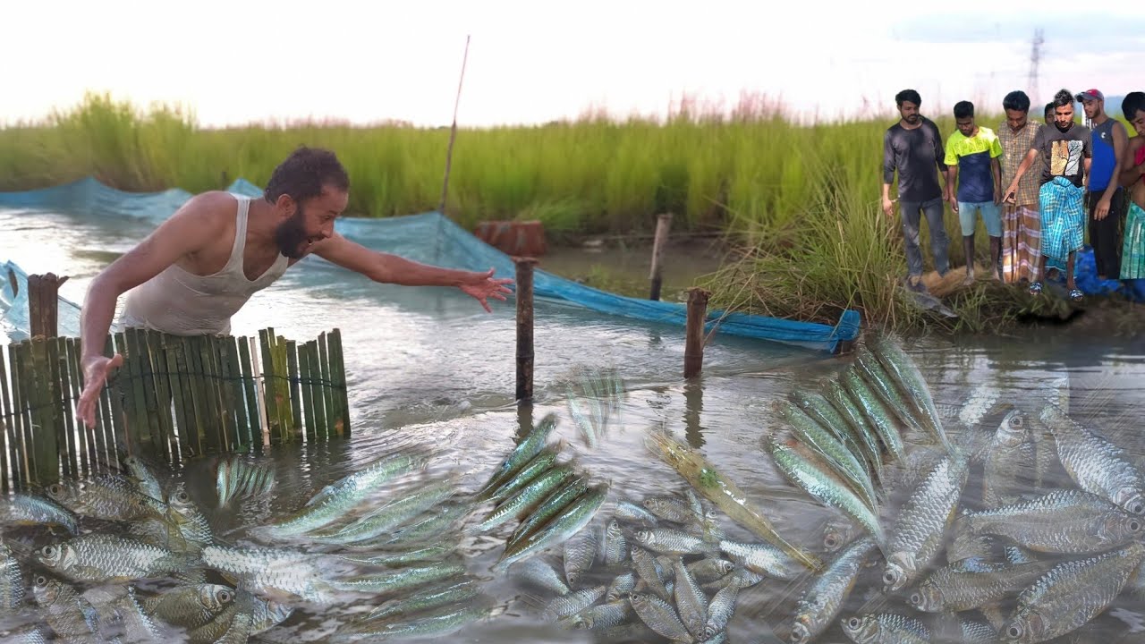 net fishing🥱the village river outstanding net fishing small fish catching FC Made in India