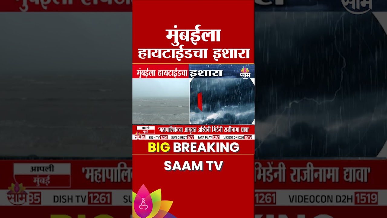 मुंबईला पुन्हा पावसाचा इशारा, कोणत्या वेळेत उसळणार उंच लाटा? | Mumbai Heavy rainfall
