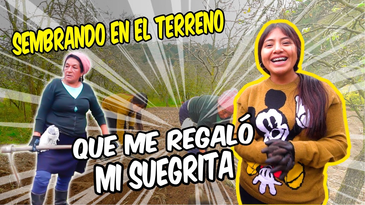 Poniendo manos a la obra en el espacio que me dio mi suegrita 🌿👩‍🌾 | ELVIA MAJI