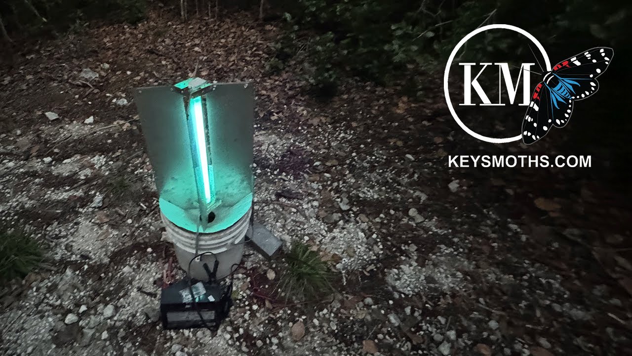 UV LIGHT TRAP   MOTH SURVEY | LOWER FLORIDA KEYS