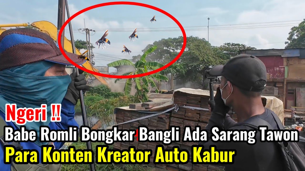 Ngeri‼️Babe Romli Bongkar Bangli Yang Ada Sarang Tawonnya Para Konten Kreator Pada Kabur