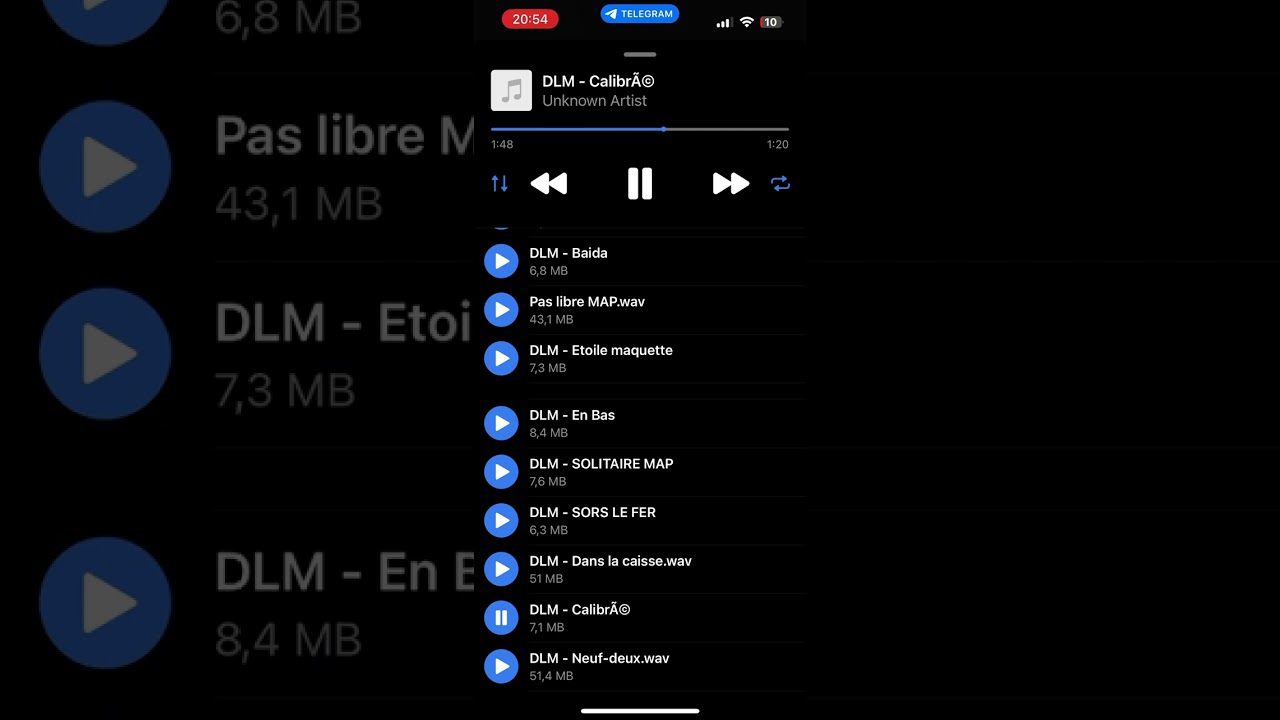 DLM - CalibrÃ