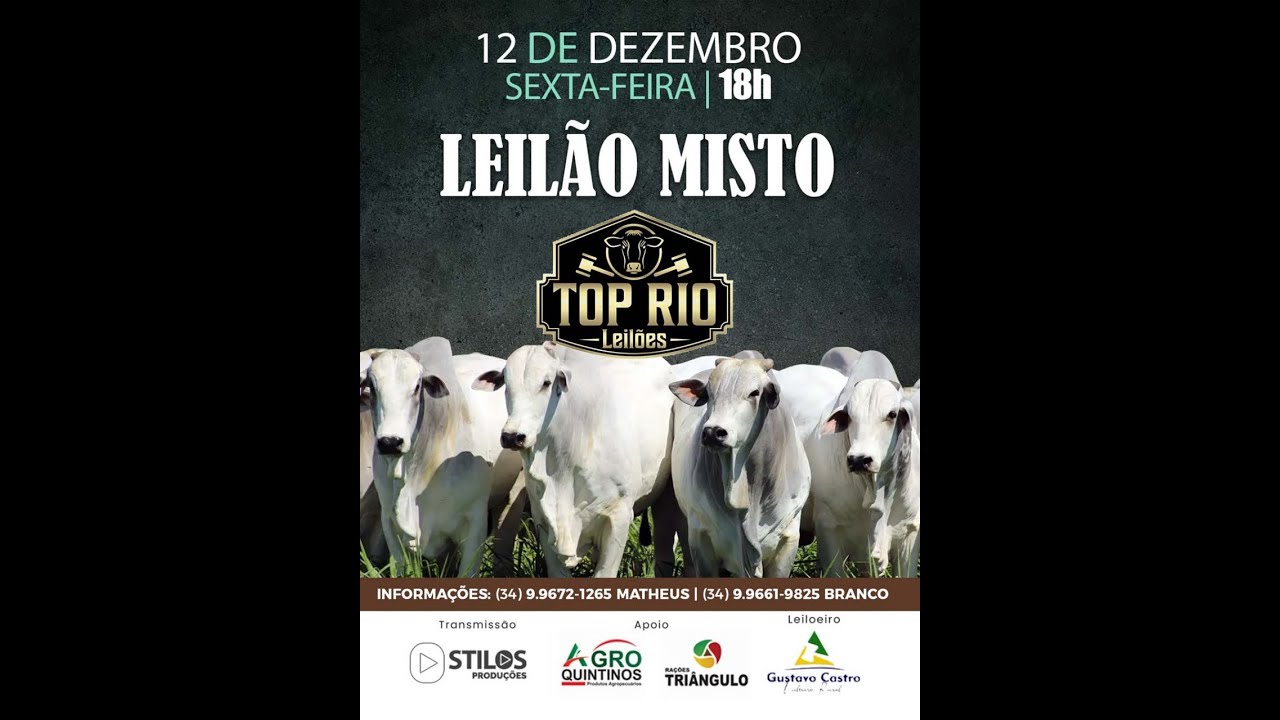 LEILÃO MISTO 12/12/2025 - TOP RIO LEILÕES - RIO PARANAÍBA-MG