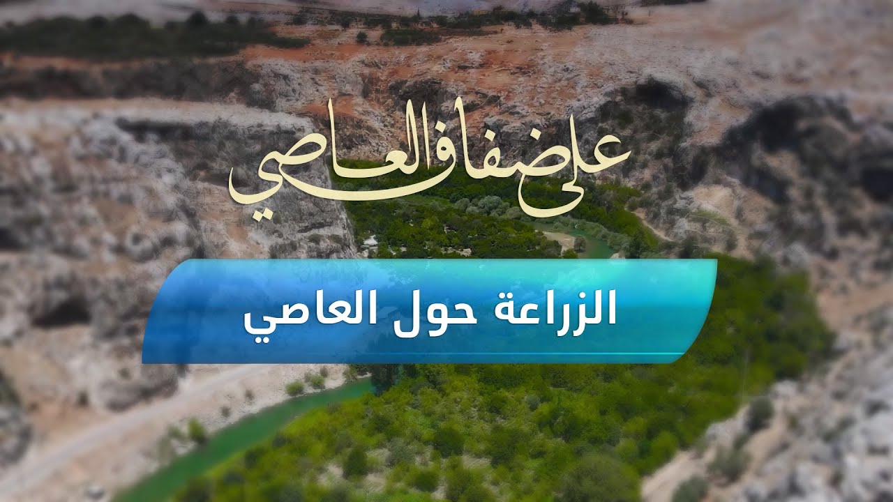 الزراعة حول نهر العاصي في سوريا.. مناظر خلابة وأشجار في كل مكان | على ضفاف العاصي