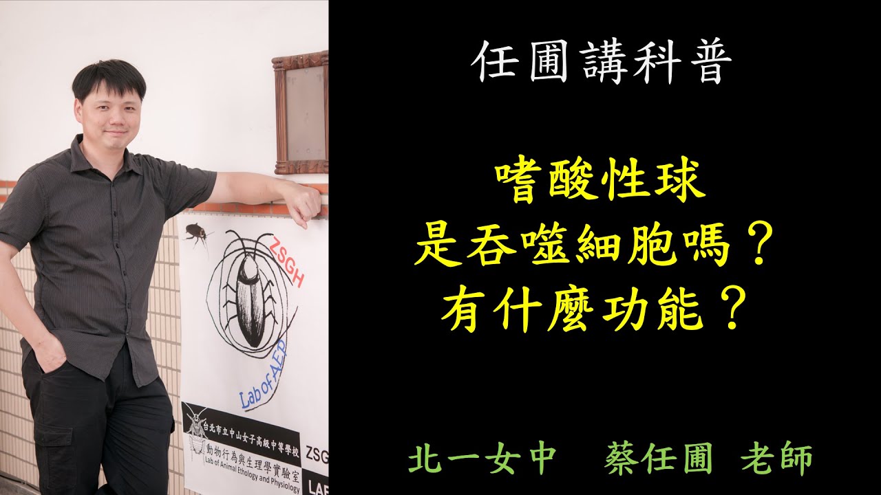 【任圃講科普】136嗜酸性球是吞噬細胞嗎？有什麼功能？