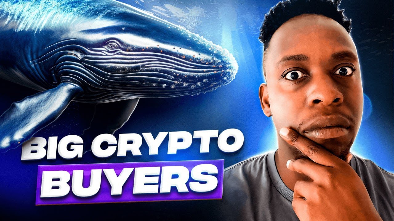 How Crypto Whales Secretly Control the Market (And How YOU Can Profit From It)