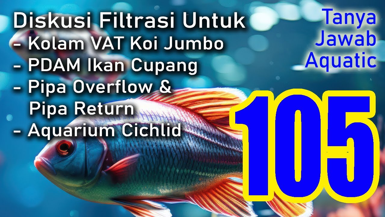 Tanya Jawab Aquatic 105