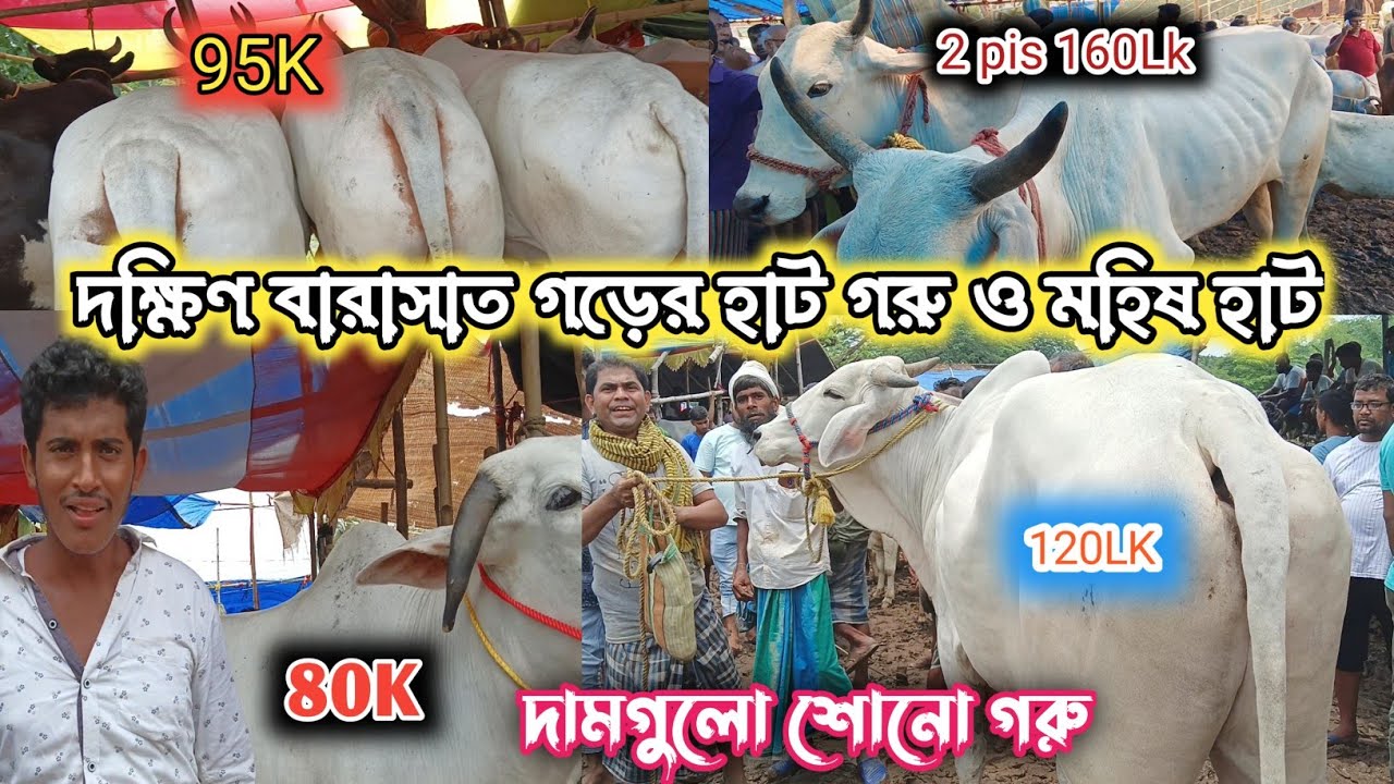 গরুর দামগুলো শুনলে চমকে উঠবে, দক্ষিণ বারাসাত গড়ের হাট বাজা (2025) #caw #video