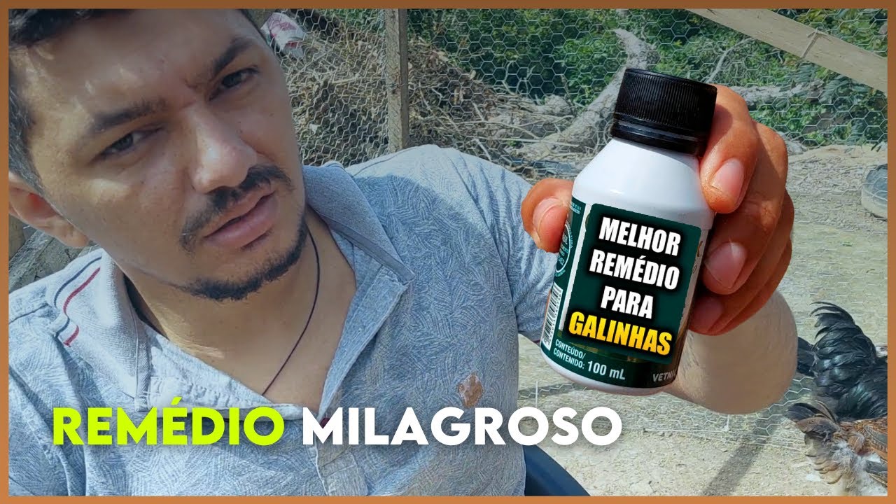 🔑 O SEGREDO que todo CRIADOR de GALINHAS esconde de VOCÊ