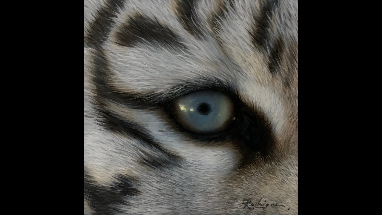 White Tiger Eye (Quick Time Lapse & Painting White Fur)