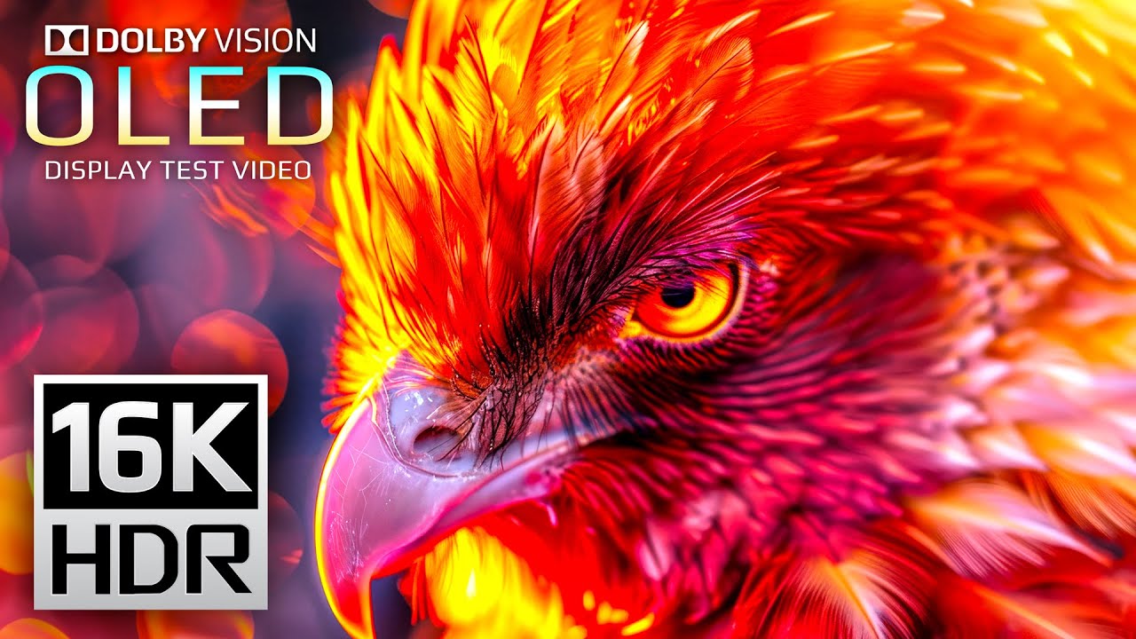 Amazing 16K HDR Dolby Vision 120fps Video (8K/4K TV Test)