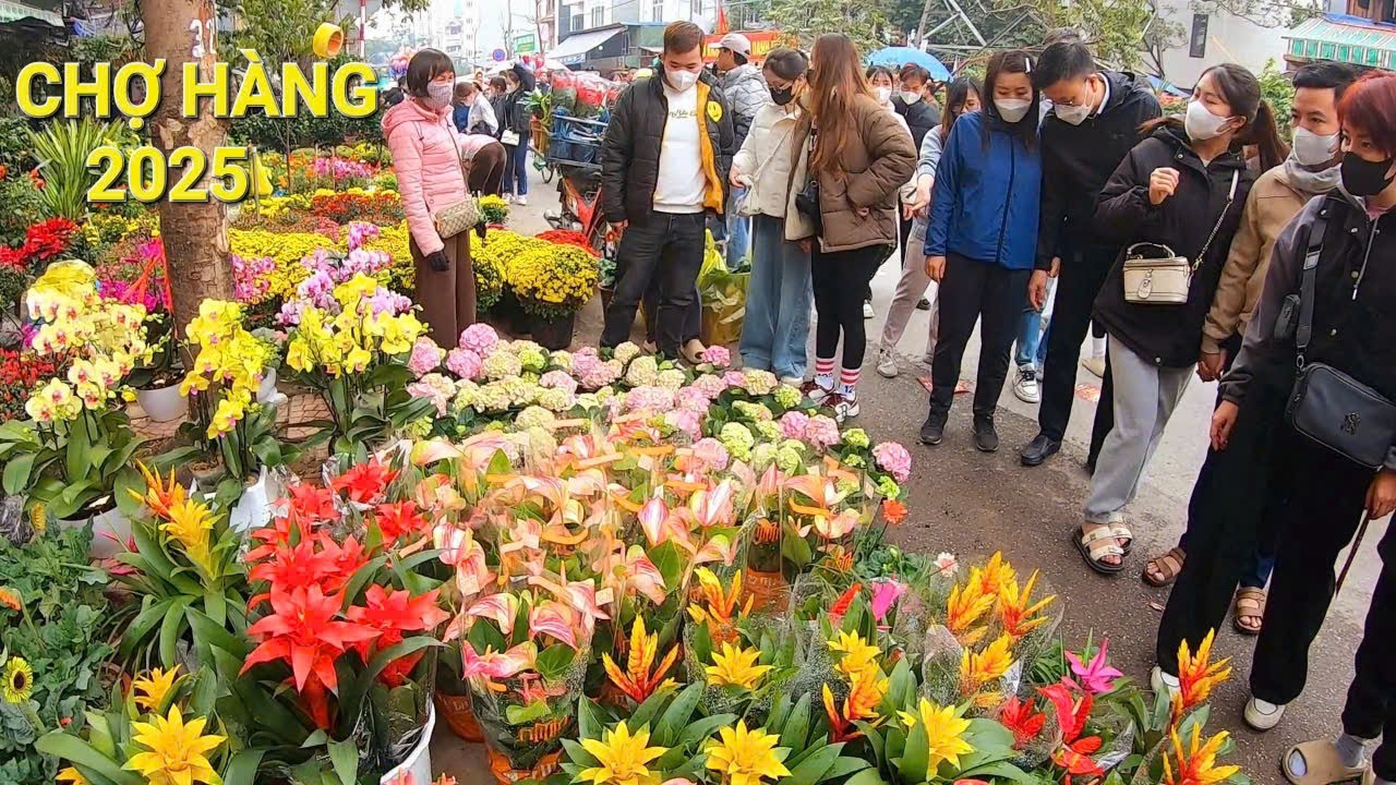 Chợ Hoa Tết  nhộn nhịp người mua hoa giá rẻ Chợ Hàng Hải Phòng