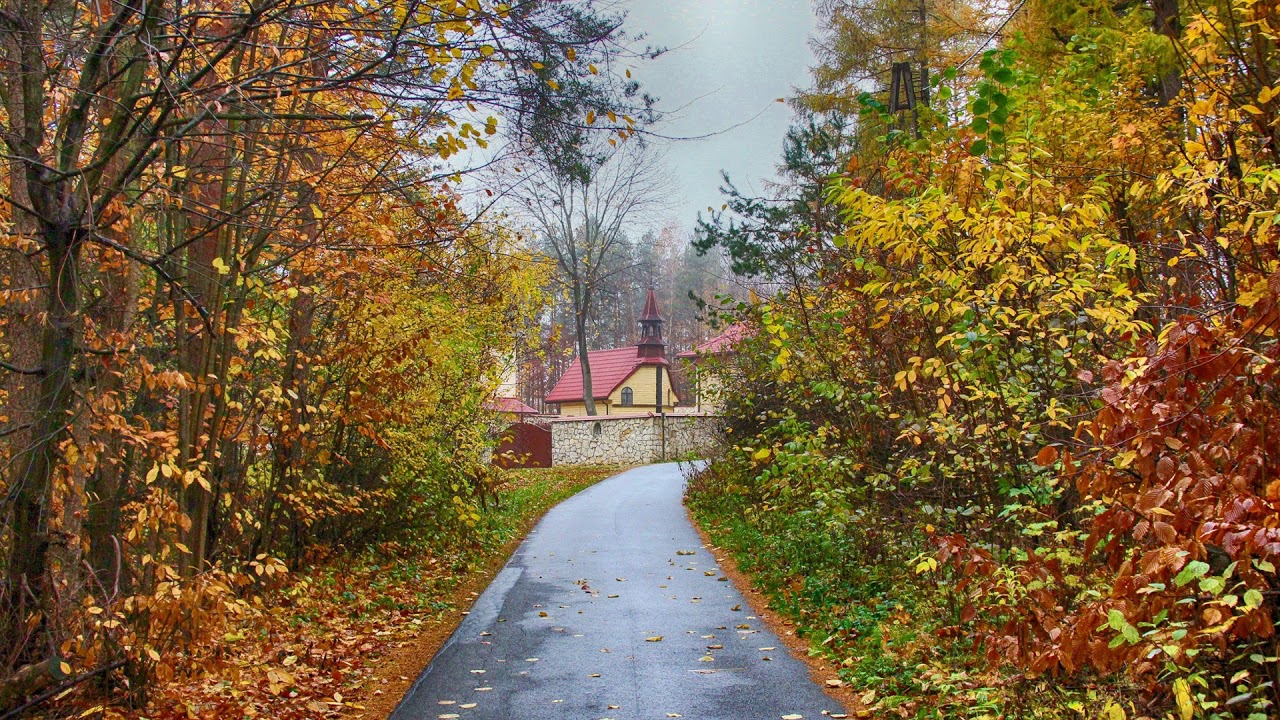 Pustelnia 03.11.2019 - Modlitwa wstawiennicza (4)