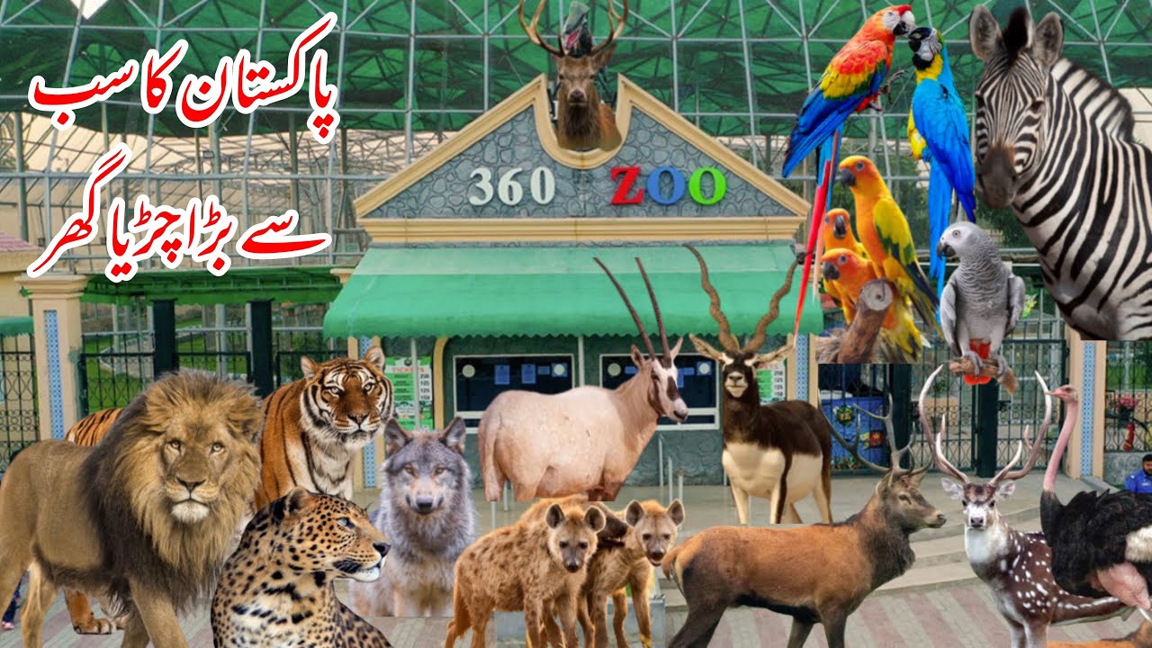 Biggest 360 Zoo in Multan DHA Pakistan | European Style Zoo In Pakistan | Karachi | Lahore | 2025