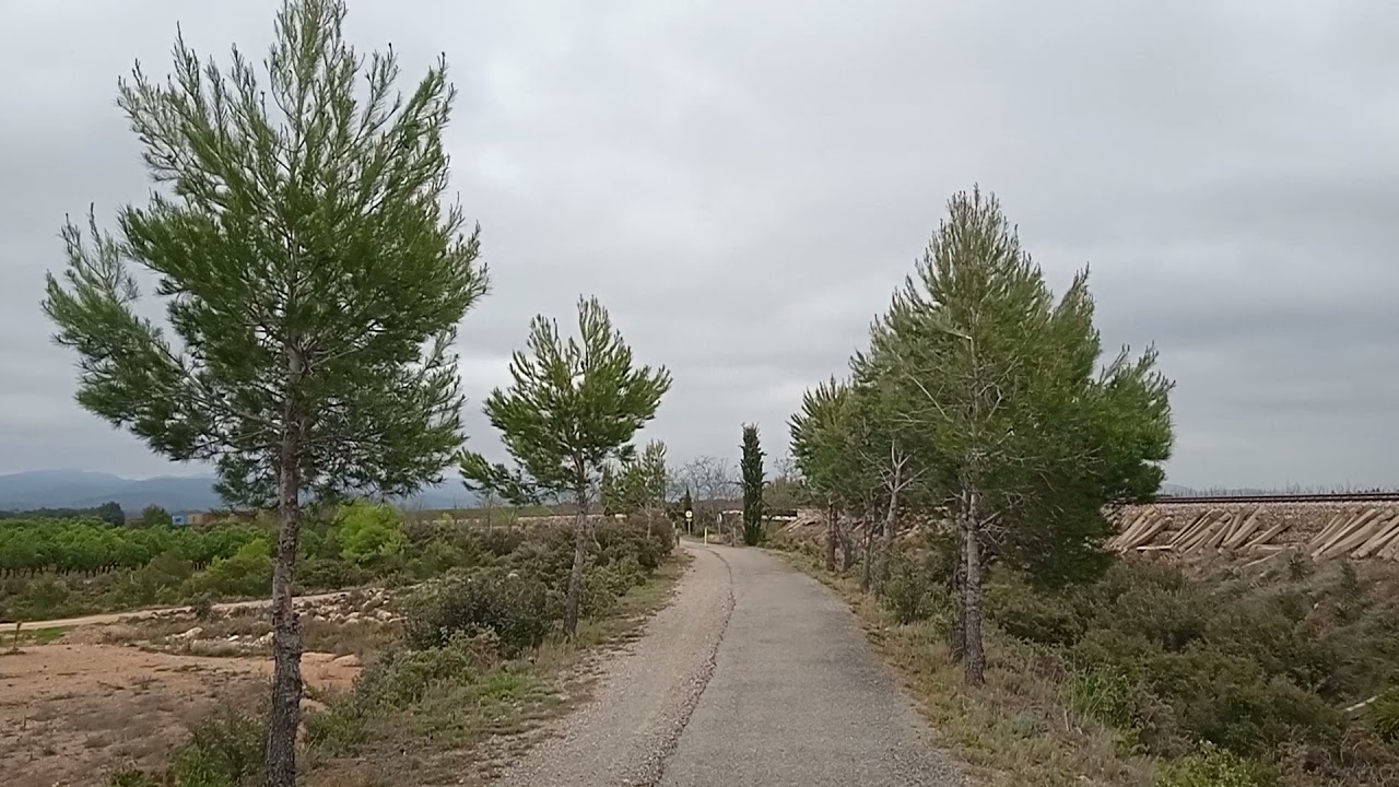 Transfesa circulando entre Caudiel y Masadas Blancas
