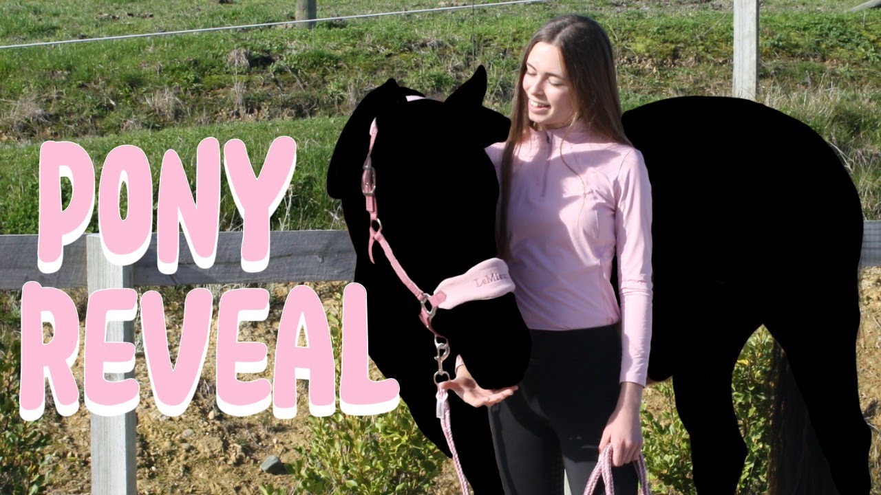 HUGE SURPRISE - I got ANOTHER HORSE! Meet my NEW HORSE! * I'm in shock*