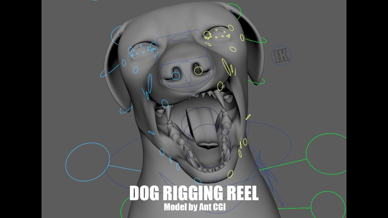 Dog Rig - Demo Reel