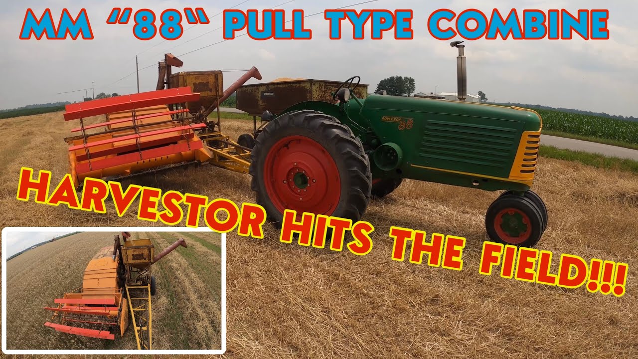 HARVESTOR hits the Field!!! WHEAT HARVEST 2023: Minneapolis Moline Pull type combine