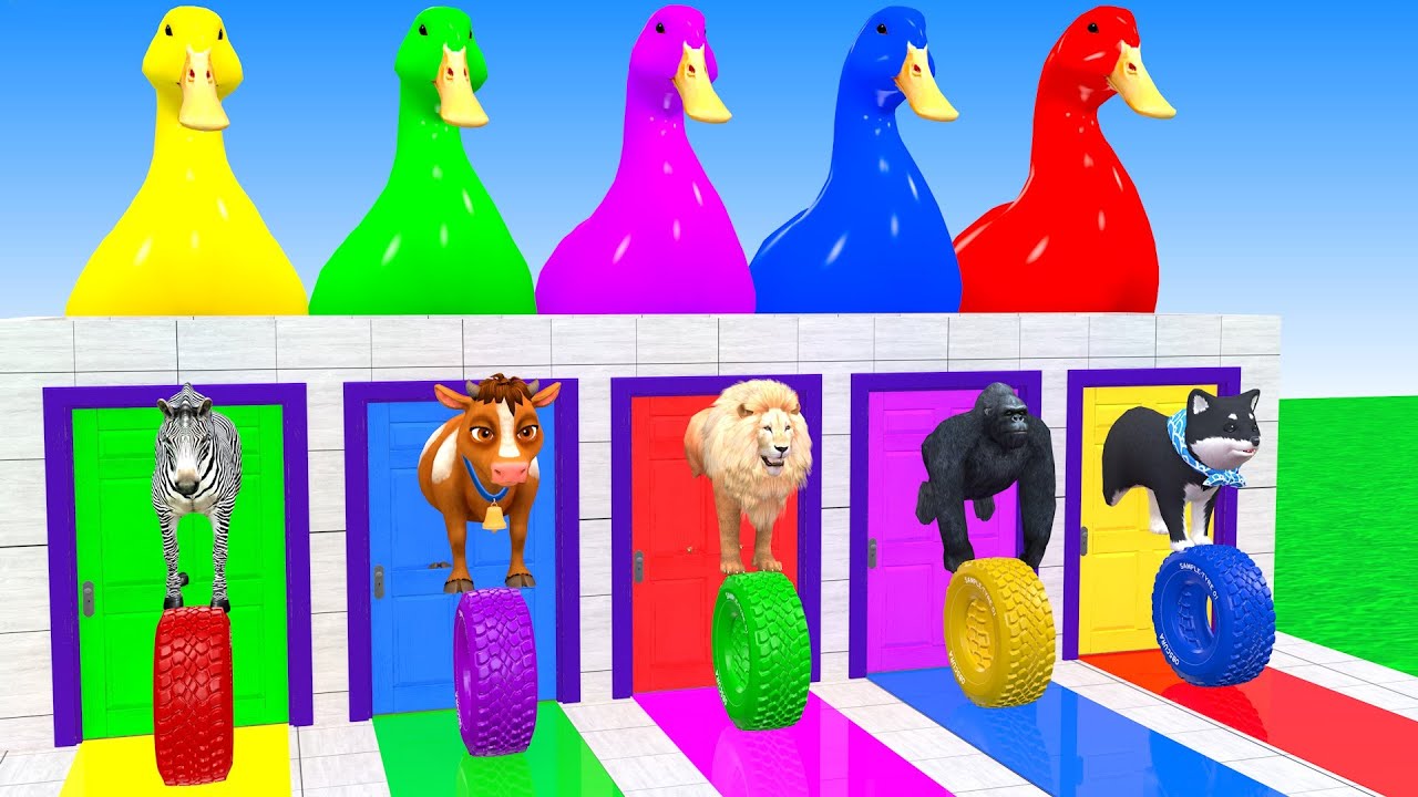 Long Slide Game With Elephant Zebra Cow Lion Gorilla Dog Hippopotamus Animal Game Funny 3d Animals