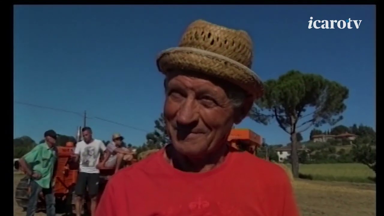 Ospedaletto - Festa della Trebbiatura