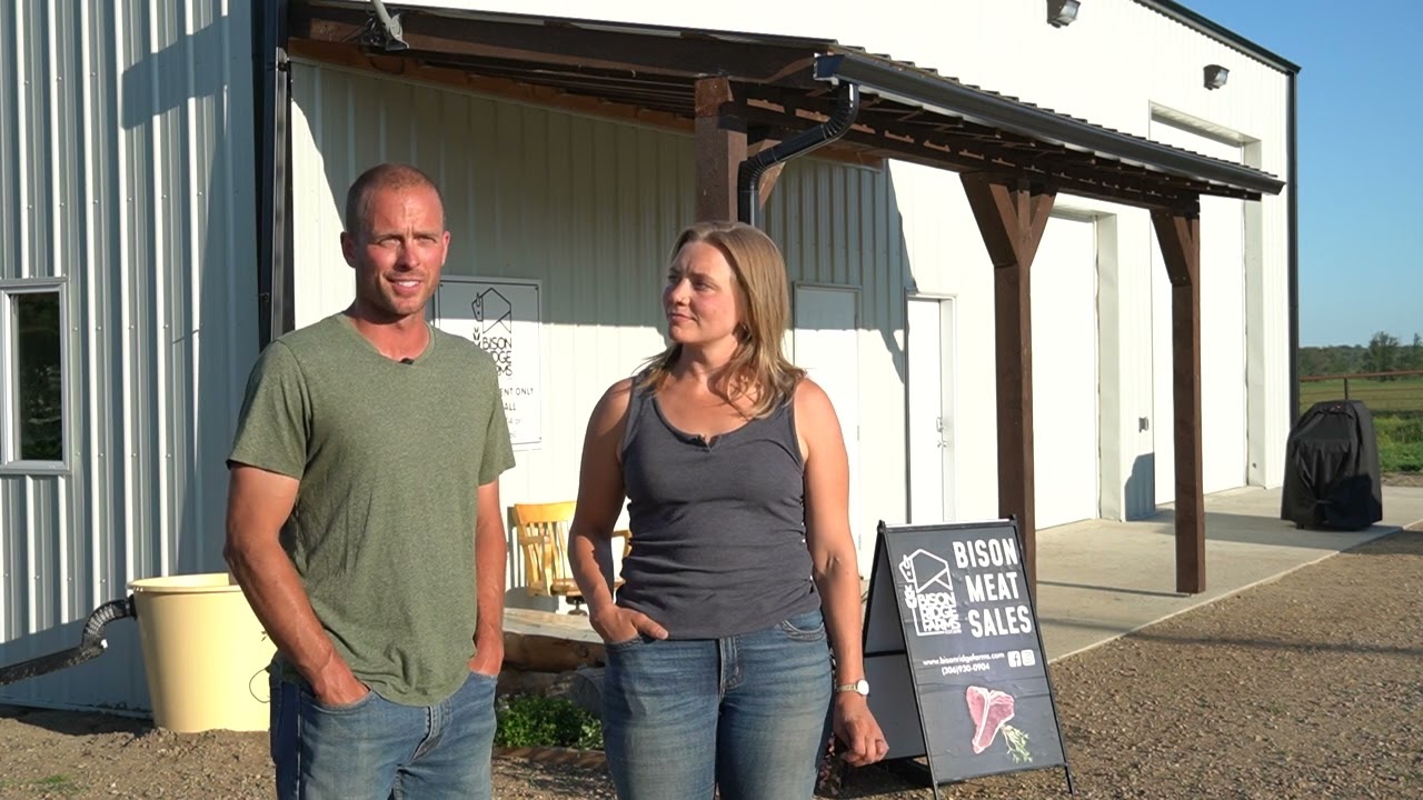 Bison in Saskatchewan | Meat Marketing