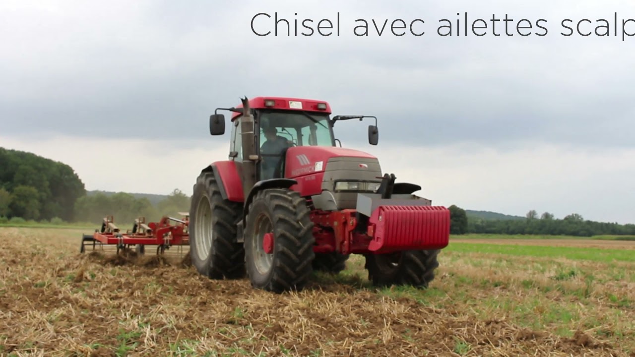 Essai d&rsquo;outils de d&eacute;chaumage pour lutter contre les adventices vivaces