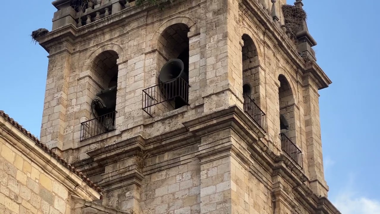 Catedral Alcalá de Henares. Volteo general y salida virgen del Val 2025.