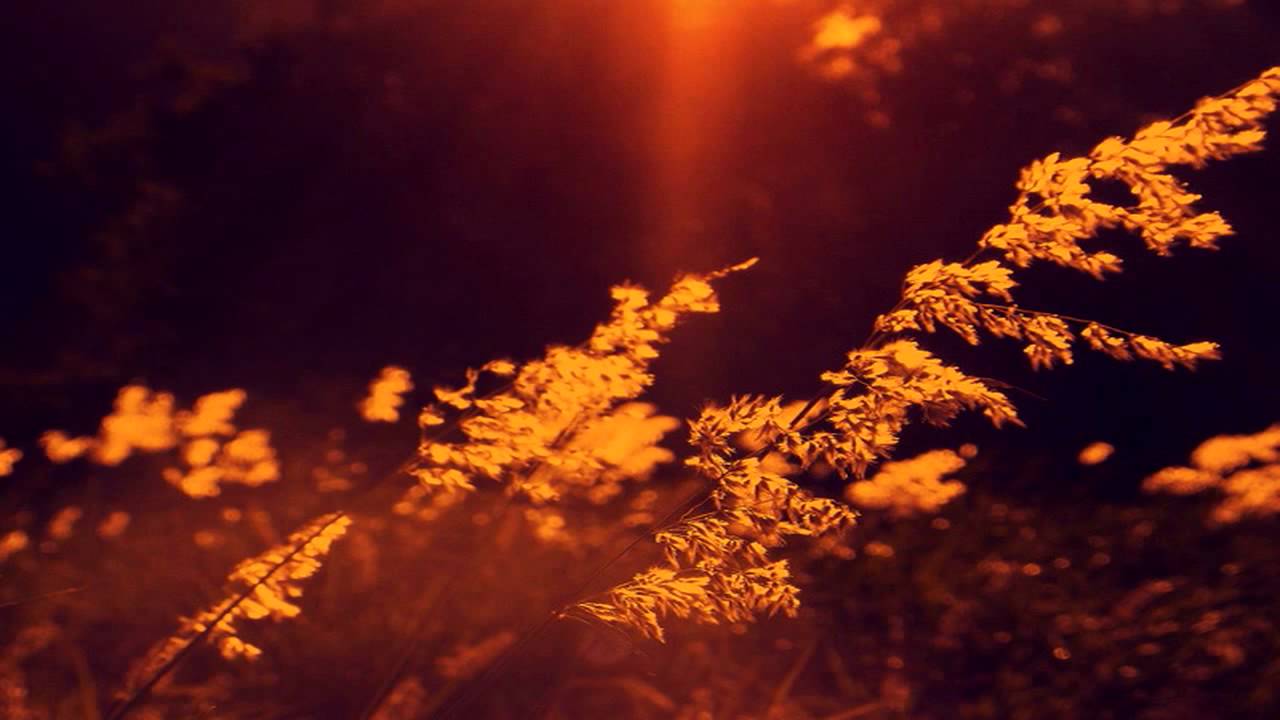 Mojo - Garden Walls (feat. Farisha)