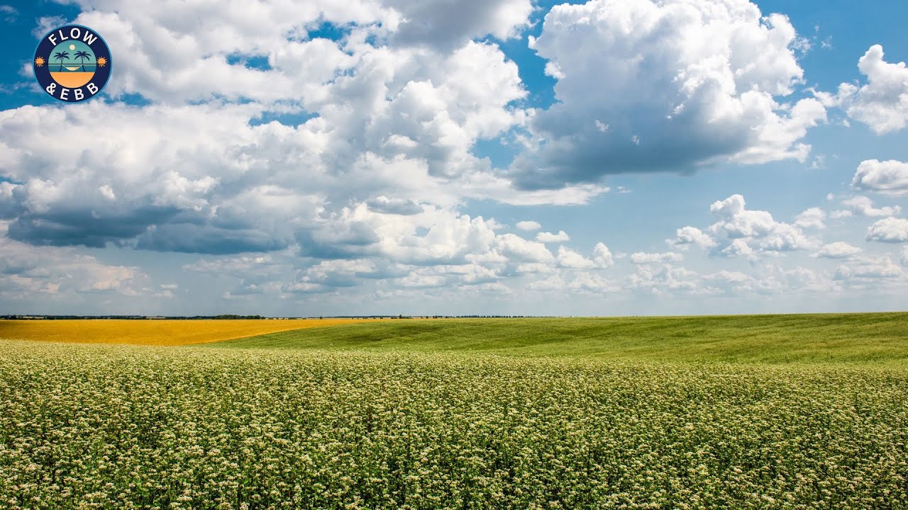 Entering Saskatchewan 🇨🇦 Prairie Roads, Qu’Appelle Valley & Regina