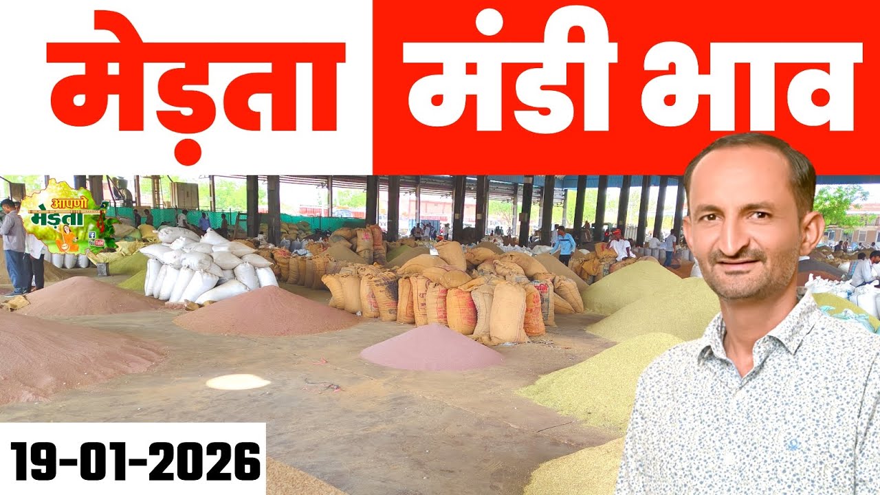 मेड़ता मंडी भाव | Mandi Mandi Today | Merta Mandi Bhav | Moong Bhav | Gour Bhav Report