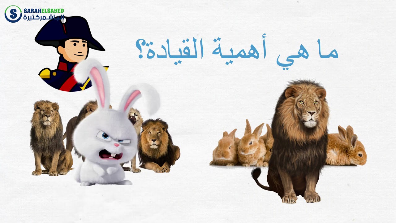 شرح مهارات القيادة و مفهوم القيادة و الفرق بين القائد والمدير وصفات القائد الناجح