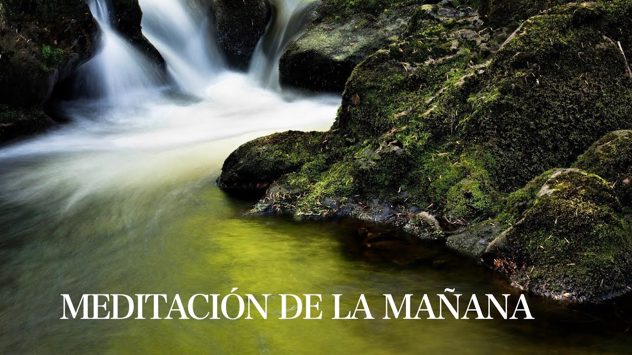 🌹 Meditación de la Mañana para Atraer Alegría y Felicidad Durante el Día