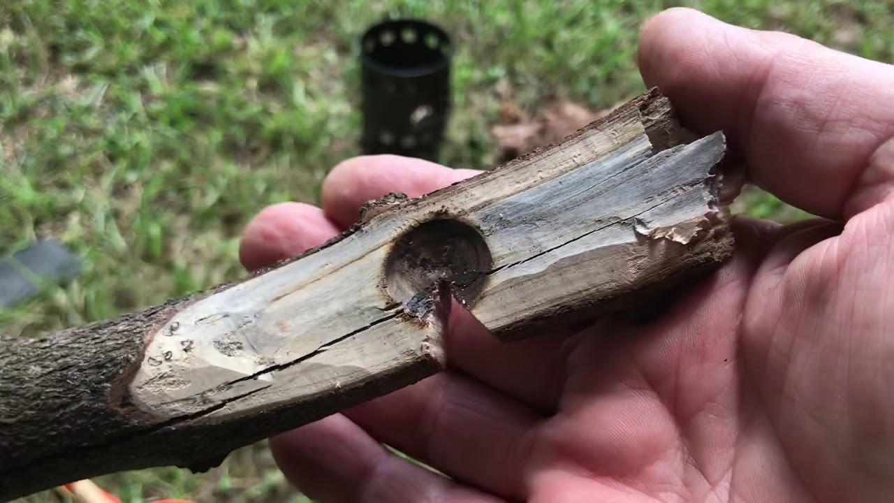 Redbud Tree Bow Drill Friction Fire. How To Make The Spindle And Fireboard.
