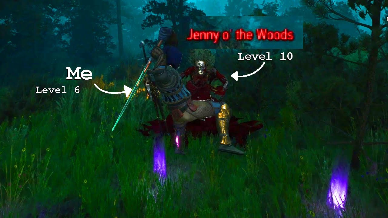 velen night shift. hunting jenny o' the woods. [ No Commentary - The Witcher 3 Modded ]