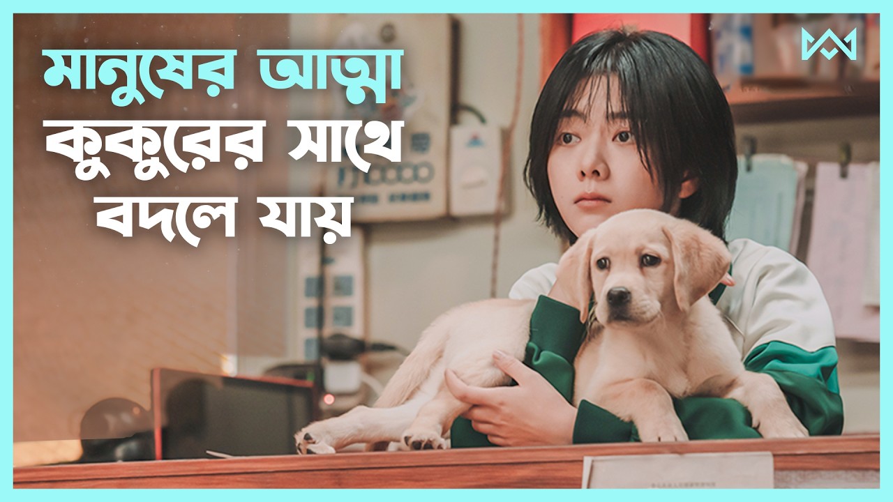 ফ্যান্টাসি ড্রামা 💖 Goodbye Cola Movie Explain In Bangla Korean Drama Bangla 🟤 Cinemohol