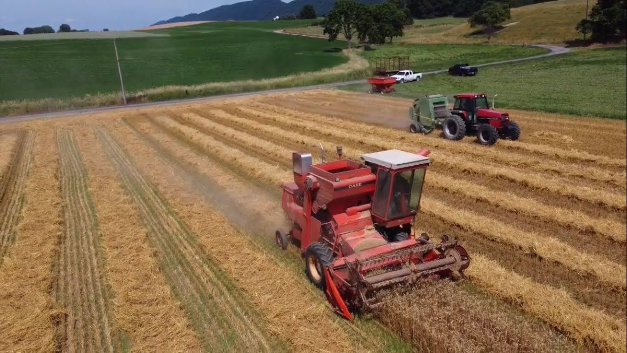 J.I. Case Wheat Harvest