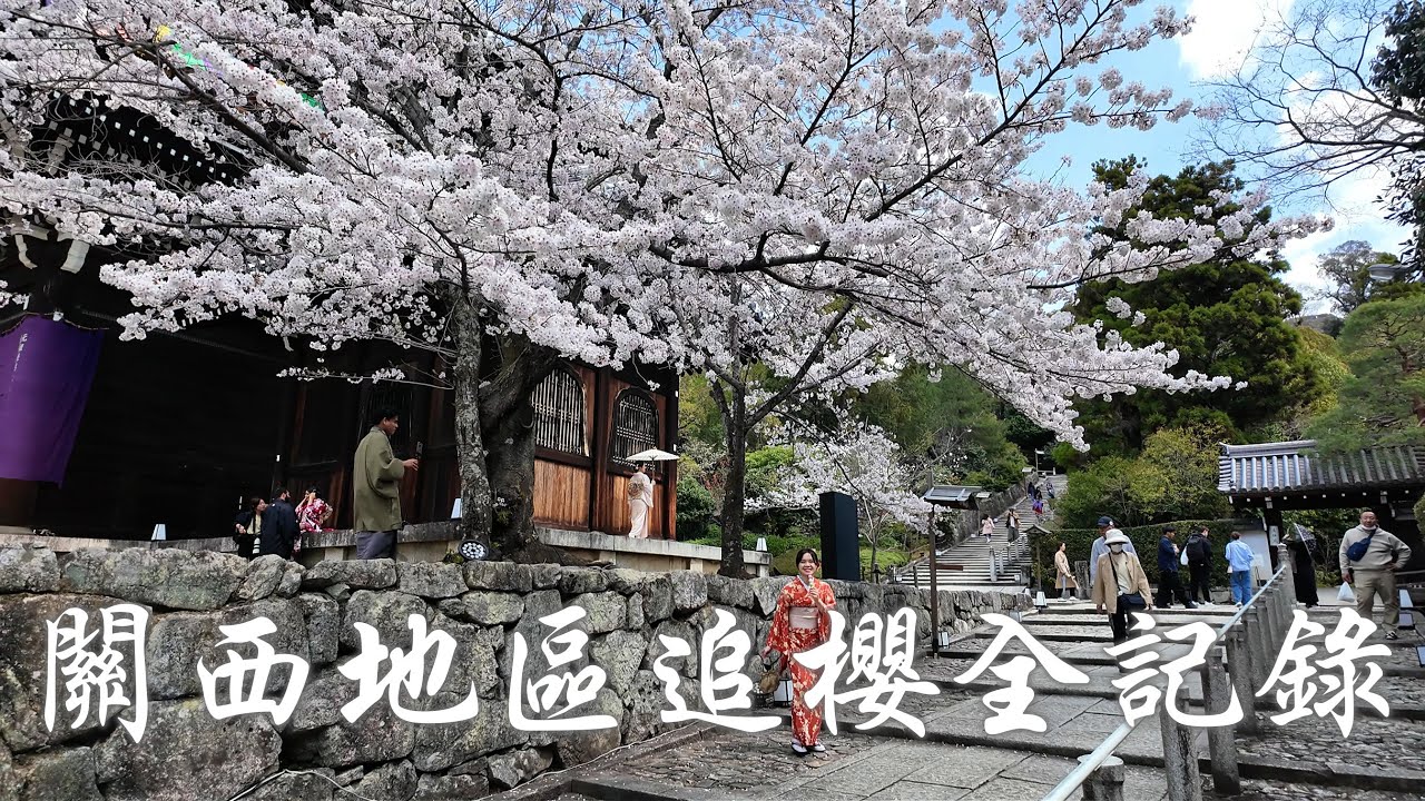 【關西旅遊】日本京阪神姬五日遊，追櫻花之旅，姬路城商店街，北野異人館，神戶港夜遊，伏見十石舟賞櫻，京都和服體驗，世界遺產天龍寺，嵐山、圓山公園櫻花樹下野餐，紅眼極限航班，自製草莓甜點