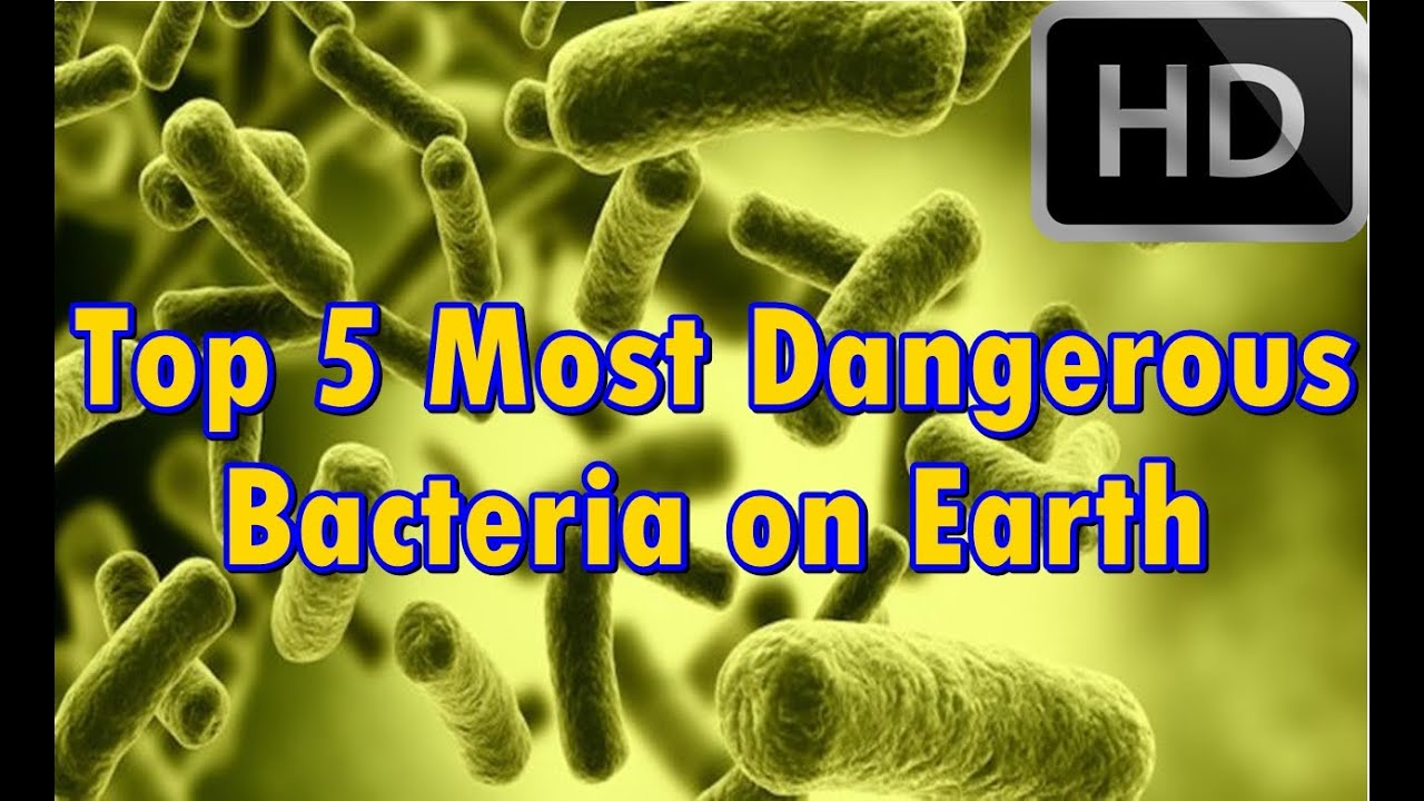 Top 5 Most Dangerous Bacteria on Earth