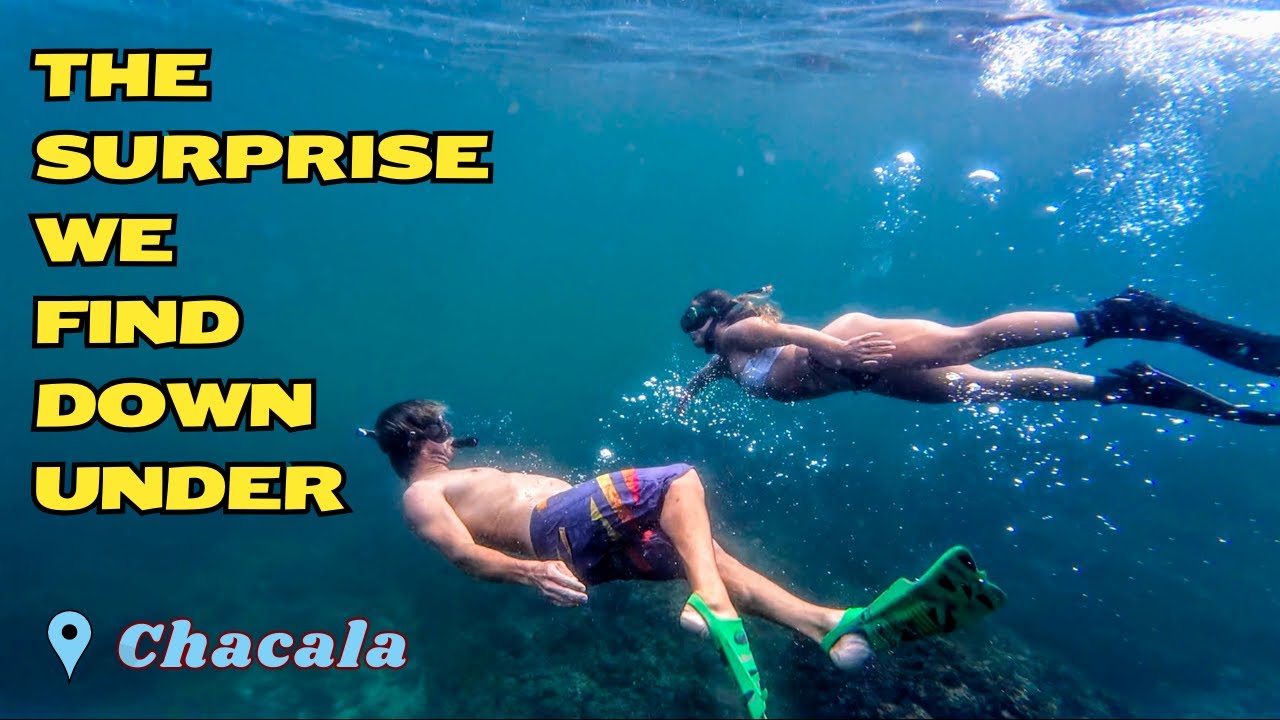 Ep 115: The Surprise We Find Down Under: The Wonders of Chacala