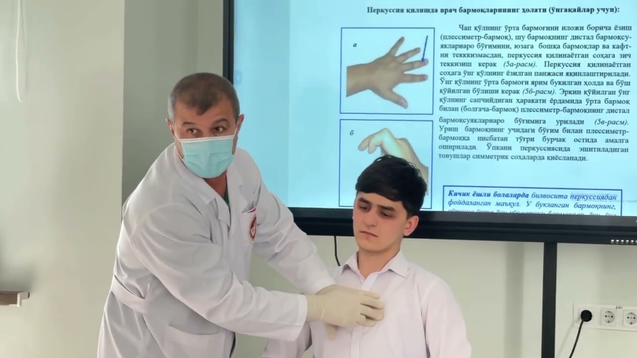 Ko`krak qafasi palpatsiyasi O`pka perkussiyasi